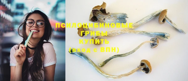 круглые Лагань