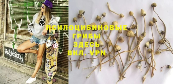 круглые Лагань
