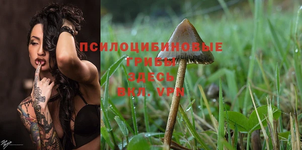 спиды Лабытнанги