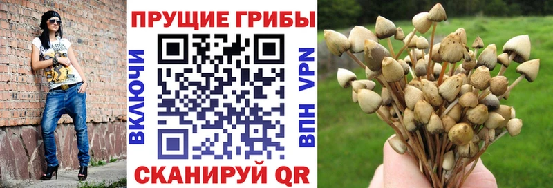 Псилоцибиновые грибы MAGIC MUSHROOMS  Купить  Пятигорск 