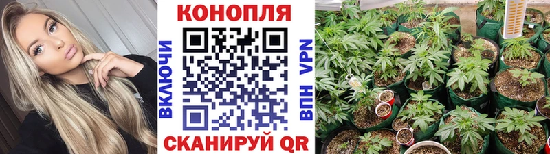 Шишки марихуана Ganja  Купить где  Пятигорск 